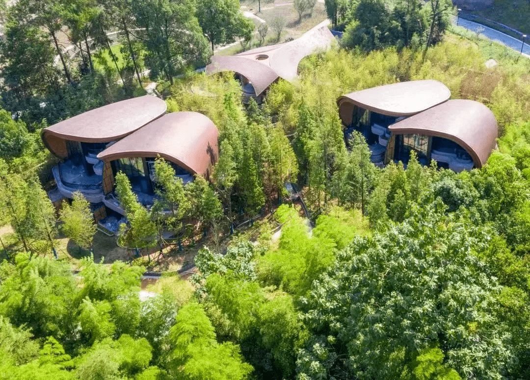 旅游推荐︱到南川住民宿，让你的灵魂有归处