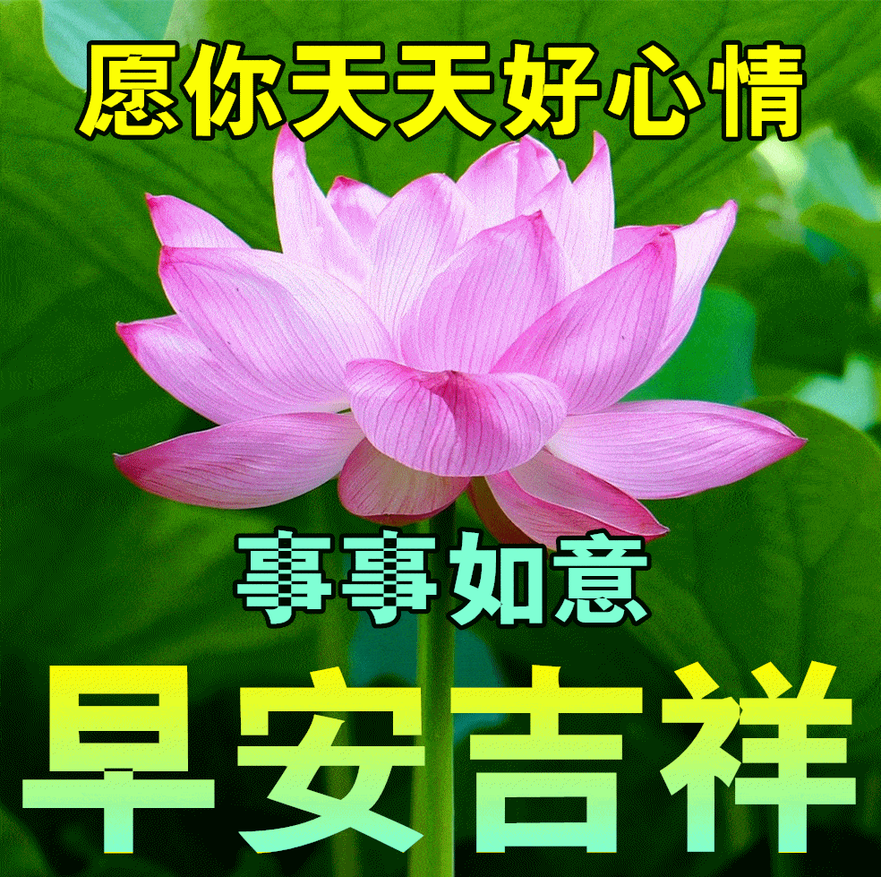 7月30日最漂亮早上好动态表情图片大全，早晨好动图美图大全_祝福