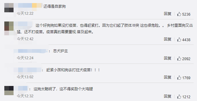 疯狗扑咬幼童，家犬冲上前将其赶跑，犬主：养了7年很有灵性