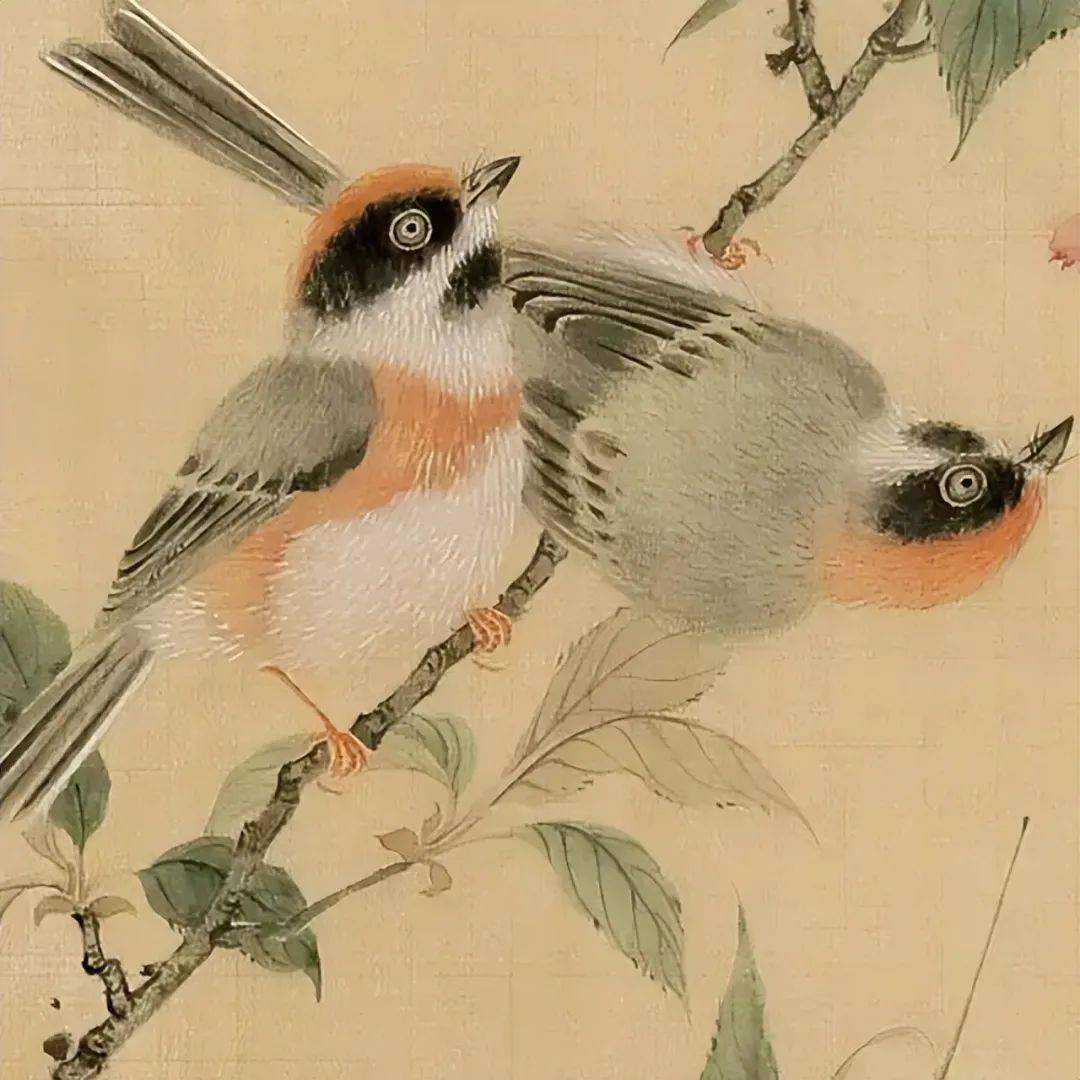 【艺术世界】雒文娟的花鸟画笔墨细腻,清雅不俗_绘画_画面_宋元