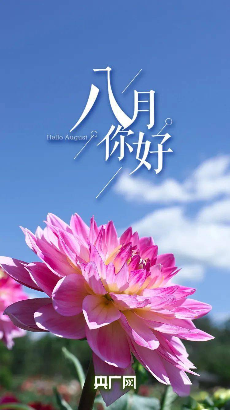 八月,你好