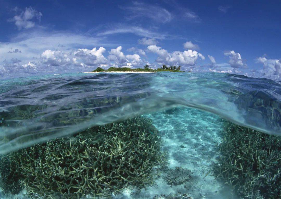 西沙群岛!中国人独享的蓝海圣地!_海水_岛屿_海底世界