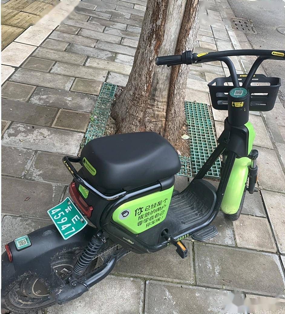 楚雄一餐馆私藏"小绿车",网友:已经不止一次了_单车_市民_行为