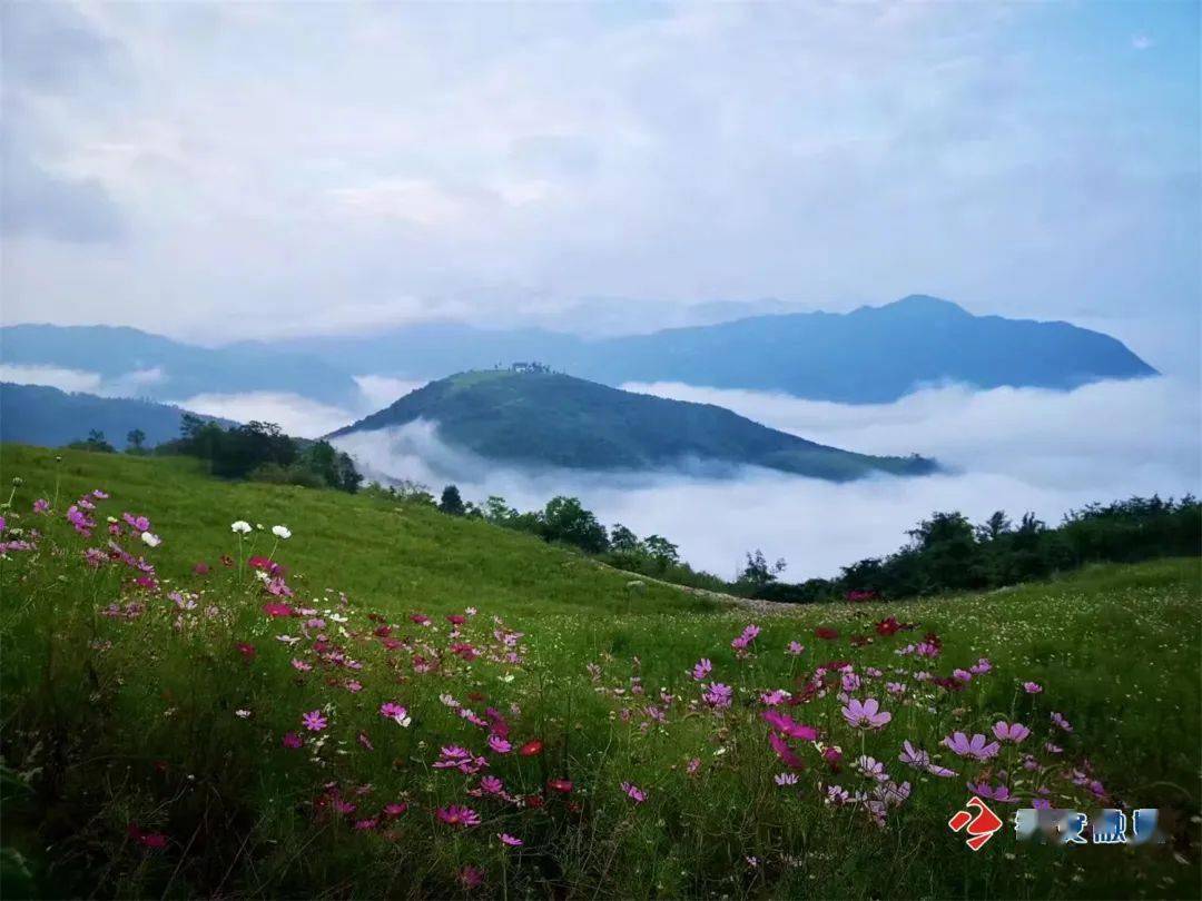 靓图|夏游海棠山_镇安_郑宗涛_安融媒