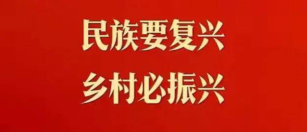 大家说法170关注乡村振兴促进法解读