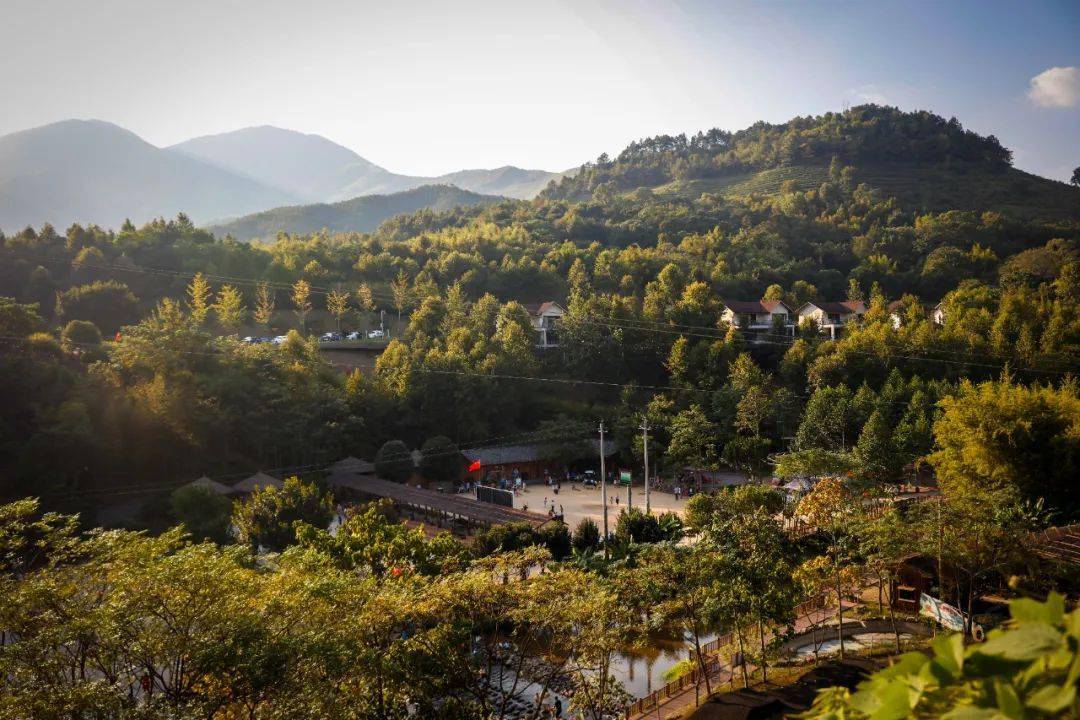 二,大余丫山发展探索