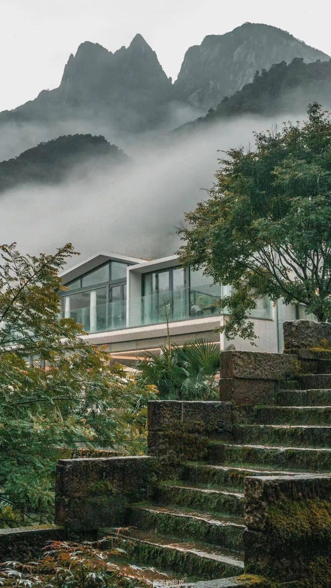 云间秘境 茶文化体验 园内旅拍等有效期至年底【住】望山居山景双床房