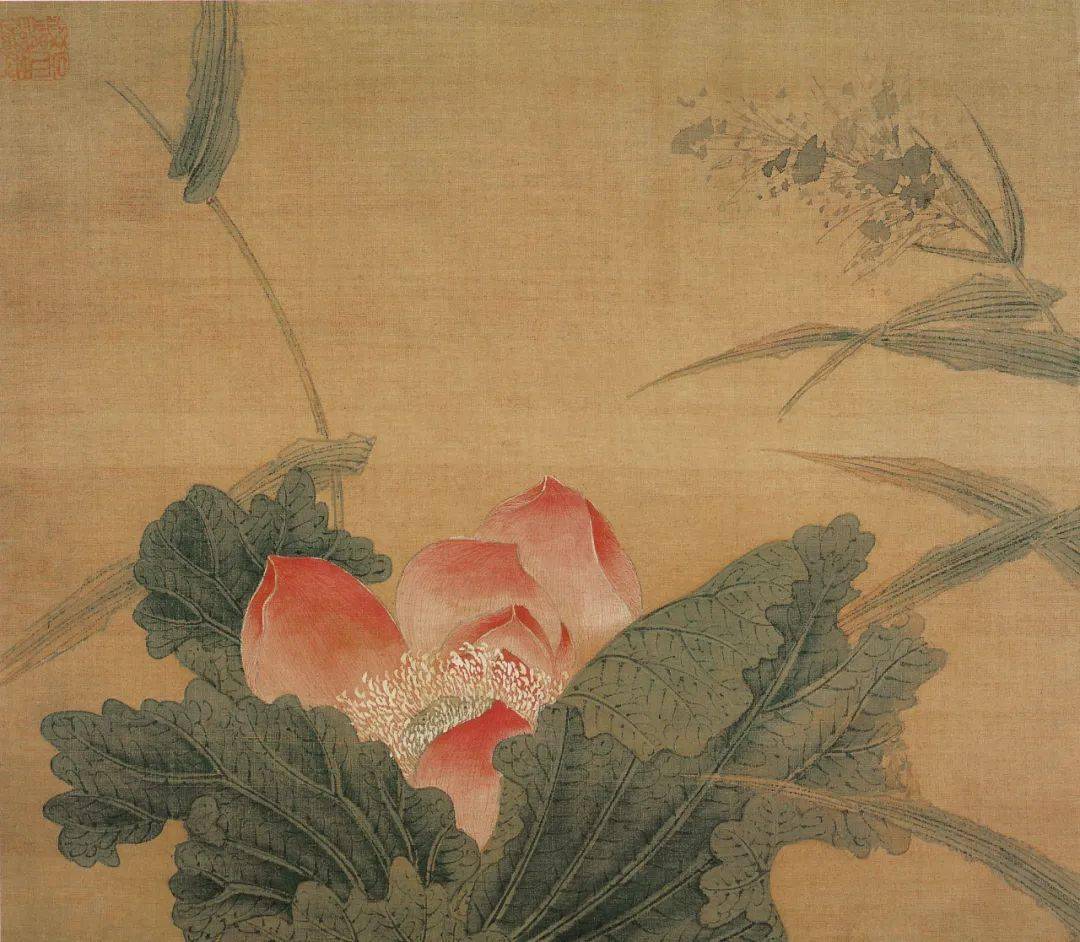 历代名家画荷,素净清雅!_赏析_荷花_作品