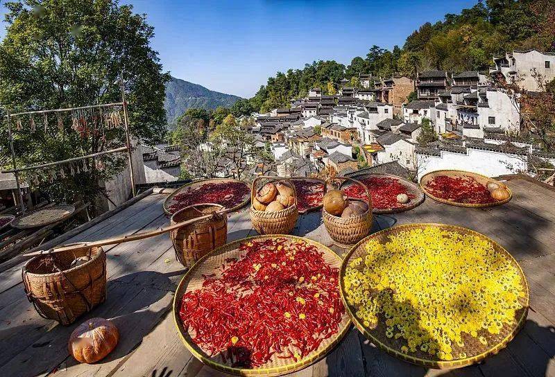 立秋有啃秋瓜,晒秋,贴秋膘,秋社,喝立秋水等习俗,其中,啃秋瓜,贴秋膘