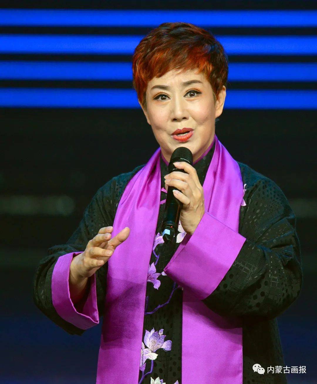 杨俊从艺40周年演唱会图片