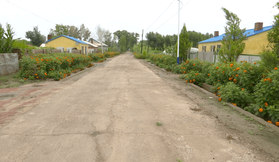 移风易俗大安市四棵树乡爱心超市引领乡风文明助推乡村振兴