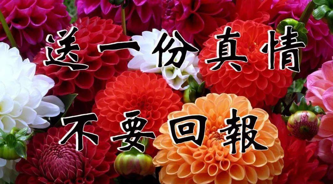 立秋,祝您萬事順意!_祝福_問候_微信