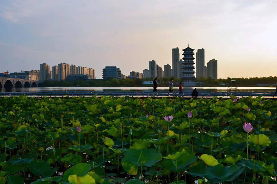 萧县美景图片图片