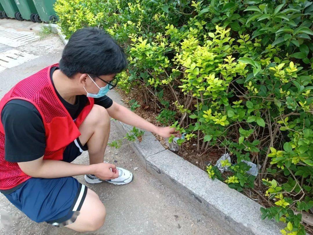志愿实践队:投身社区卫生服务,协力共创文明新城_李咏钦_工作_家村