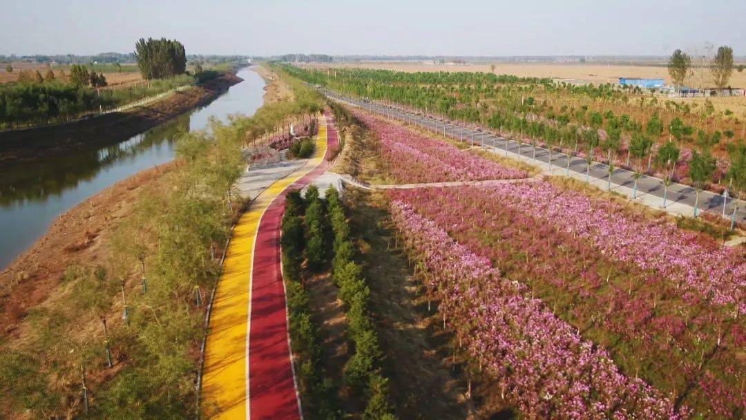 鸡泽县_发展_农村