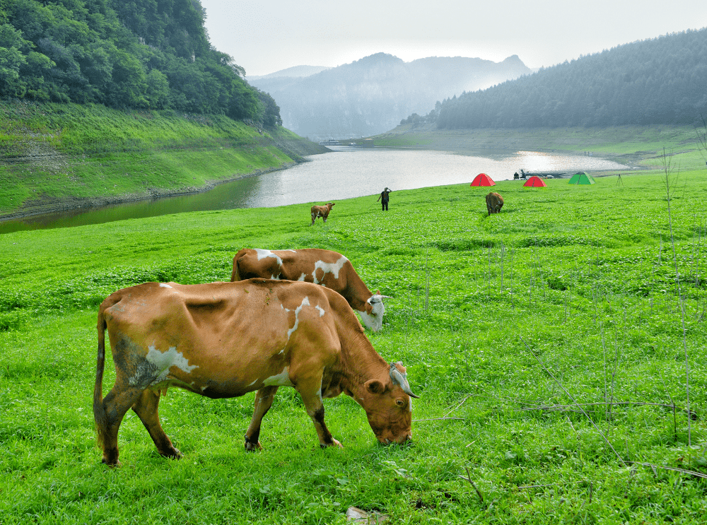 白山湖风景区是国家aaa级旅游风景区