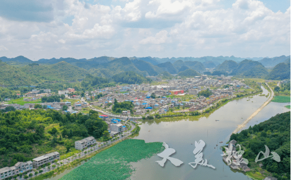 连日来,独山县下司镇,宽阔的湖面上荷叶接天碧日,一朵朵白色的,粉色的