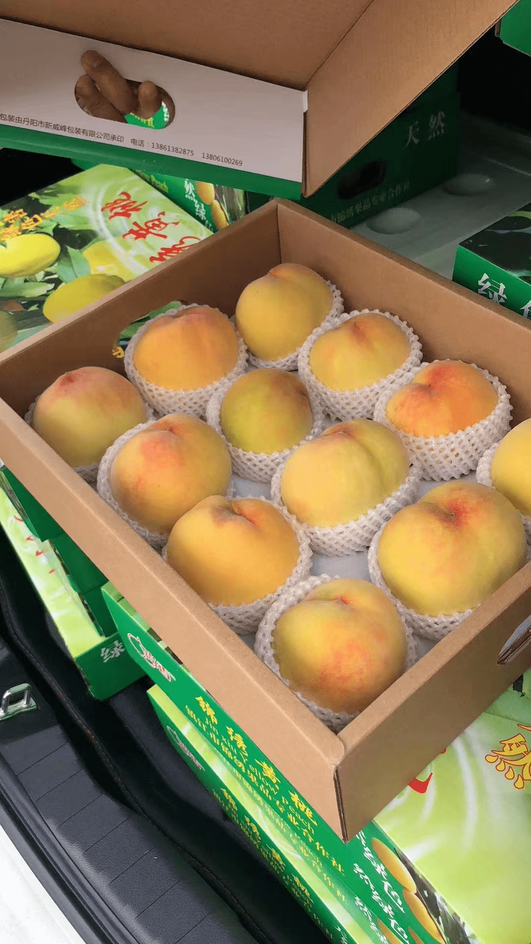 桃子_锦绣_甜度