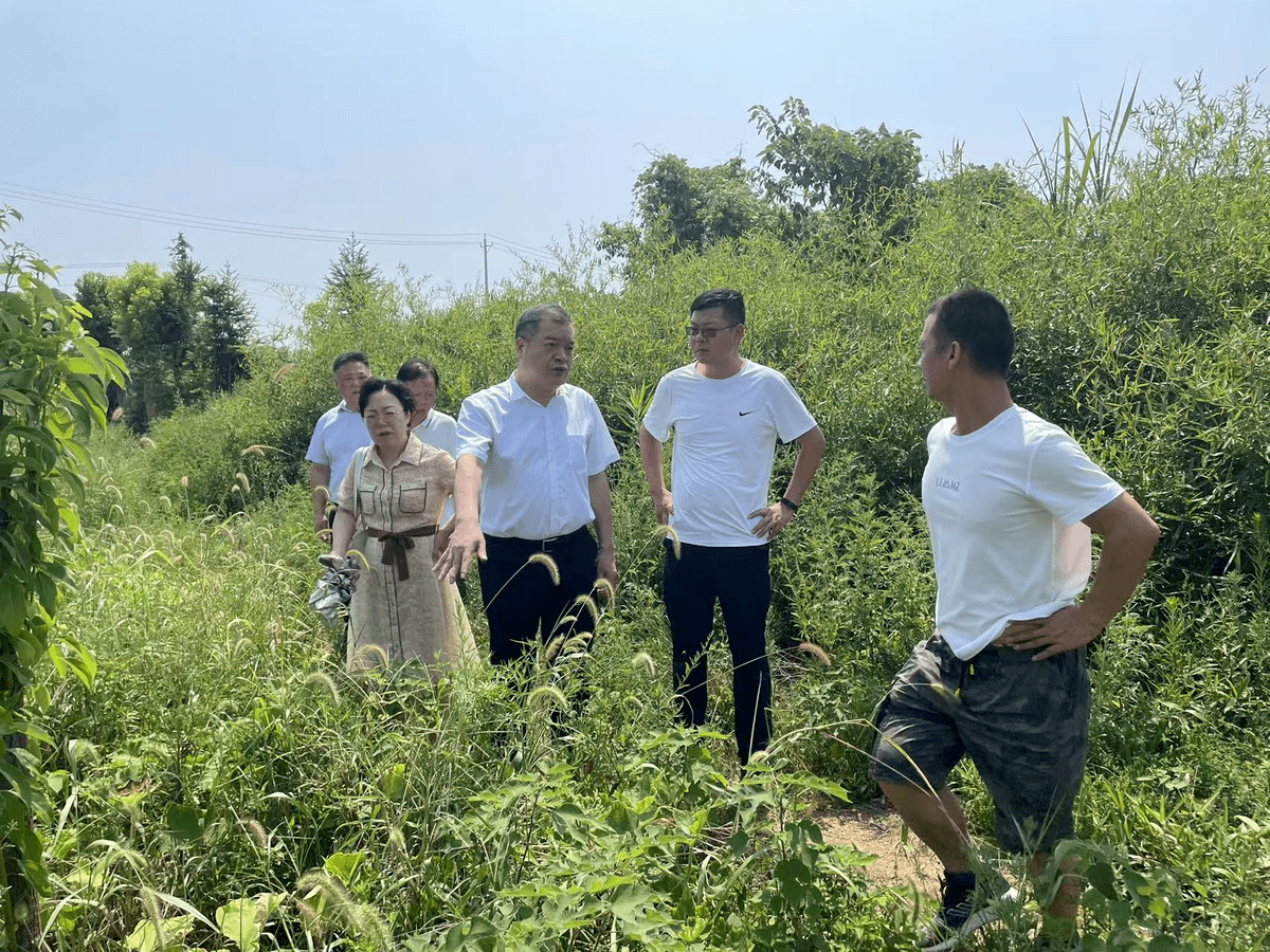 武汉市政协实践调研活动走进江夏胜丰村