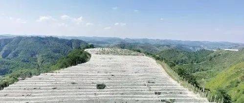 三秦大地谱写壮丽篇章_发展_陕西_老区