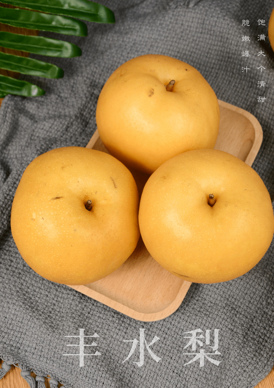 一口丰水梨赶走渴意!_梨子_种植_西丰