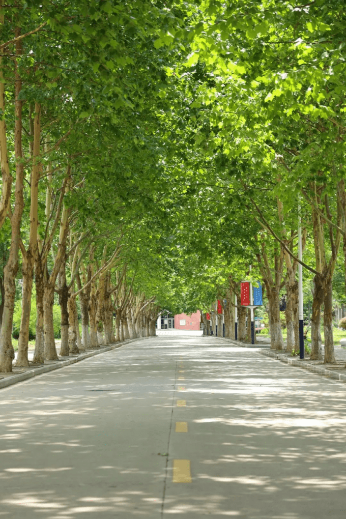 安徽新华学院秋实路图片