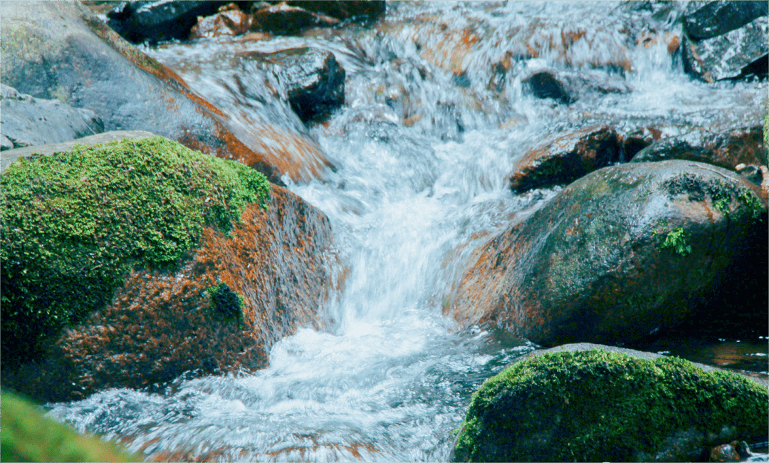 景区