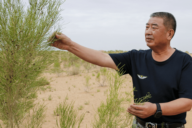 李德海十余载坚守只为那一抹绿