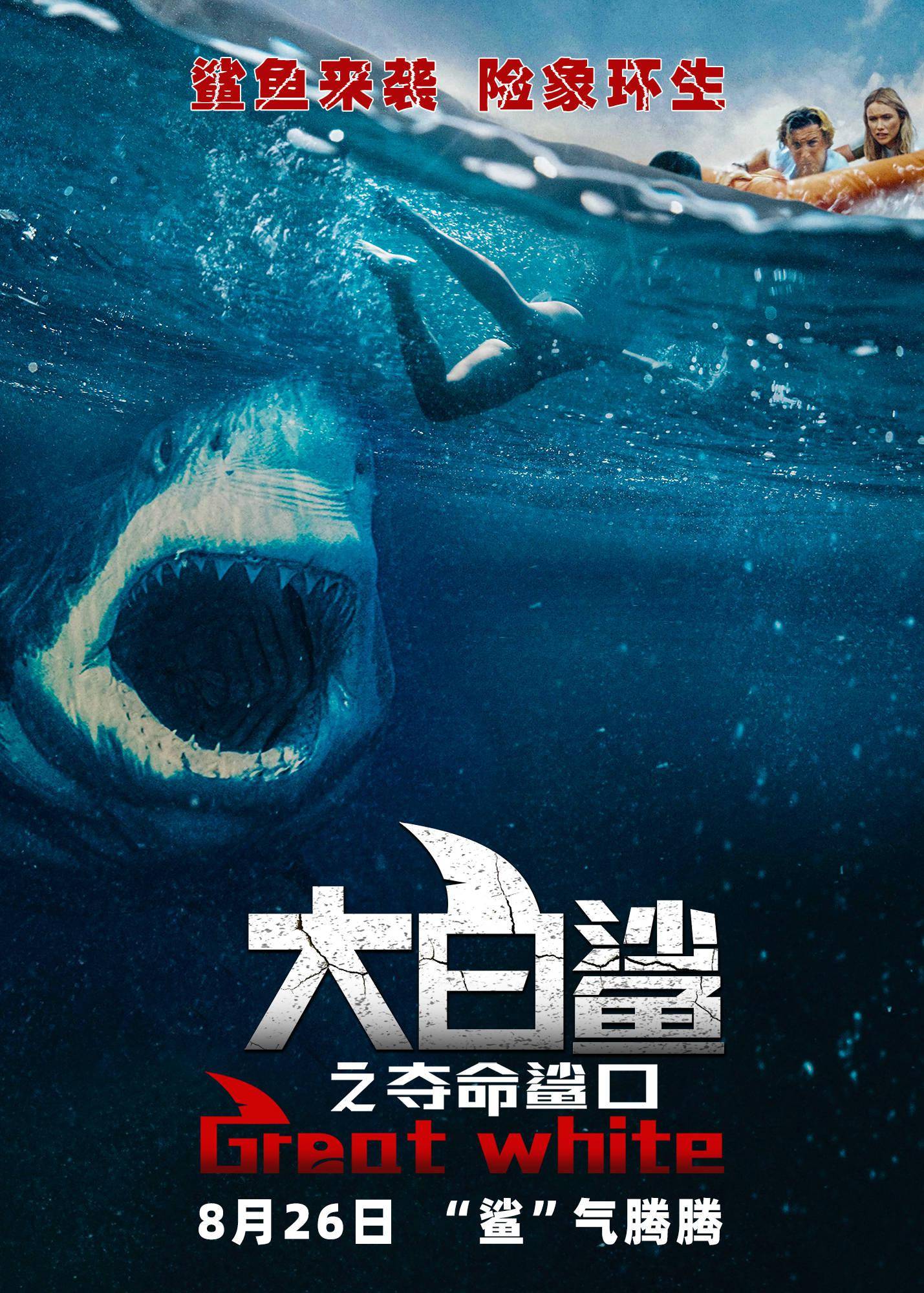巨齿鲨口在劫难逃 电影《大白鲨之夺命鲨口》8月26日惊魂上映!