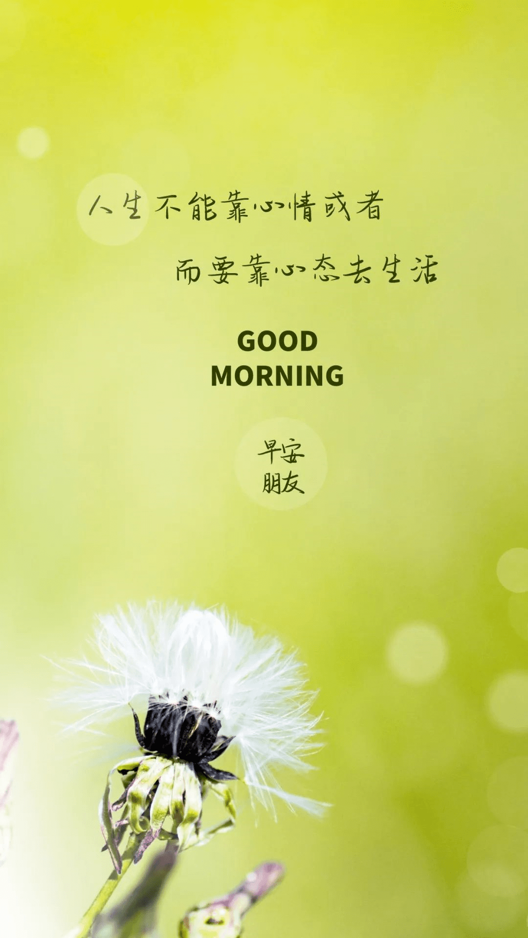 调整心态一段话分享给你_阳光_小事_开心