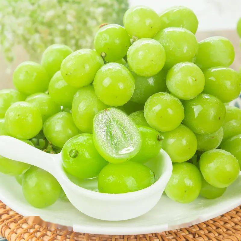 活动阳光玫瑰青提晴王葡萄脆甜多汁被称为抗氧化皇后