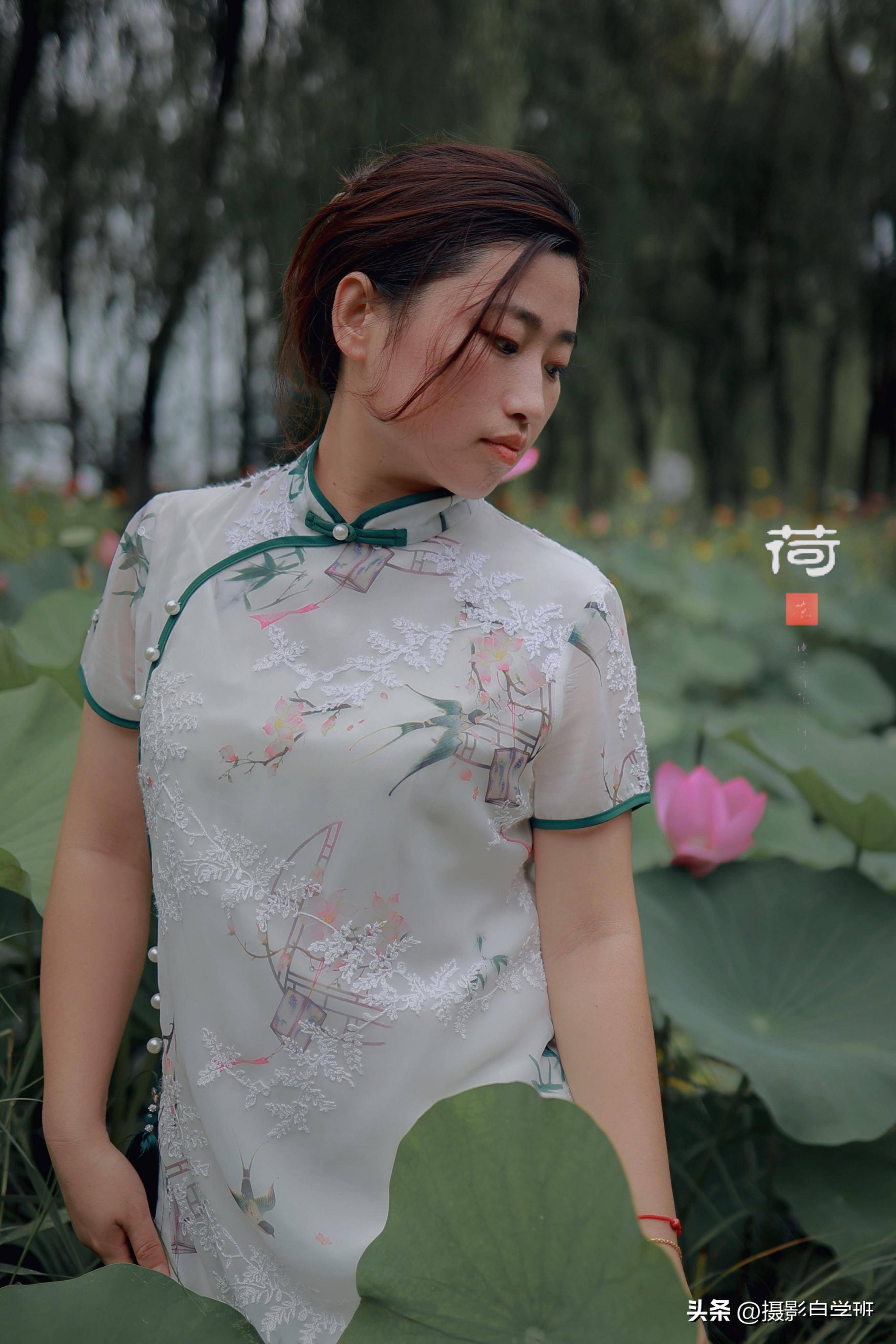 旗袍与荷花绝配,荷花人像拍照的3个技巧,趁荷花还在抓紧拍起来_姿势