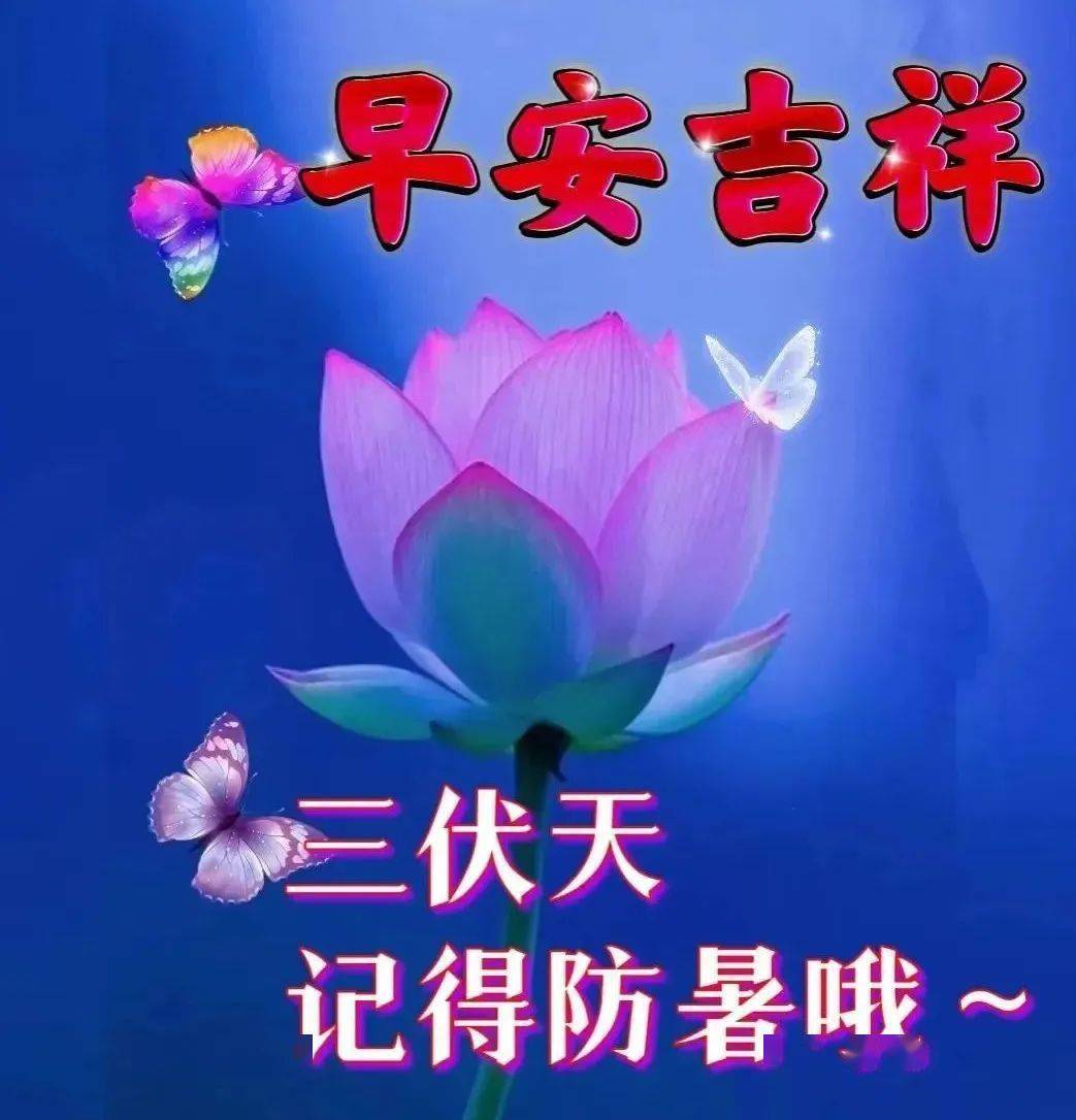 早上好表情包大全,一聲問候到身邊,萬事如意送平安!_菜根香_內心_時光