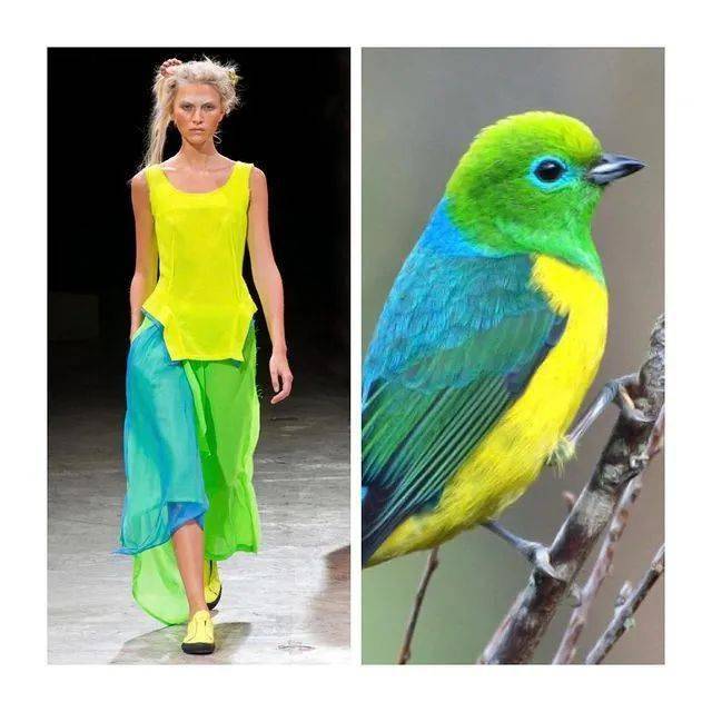 她以大自然为灵感,把山河星辰穿在身上,仿生设计爆红ins_时装_服装