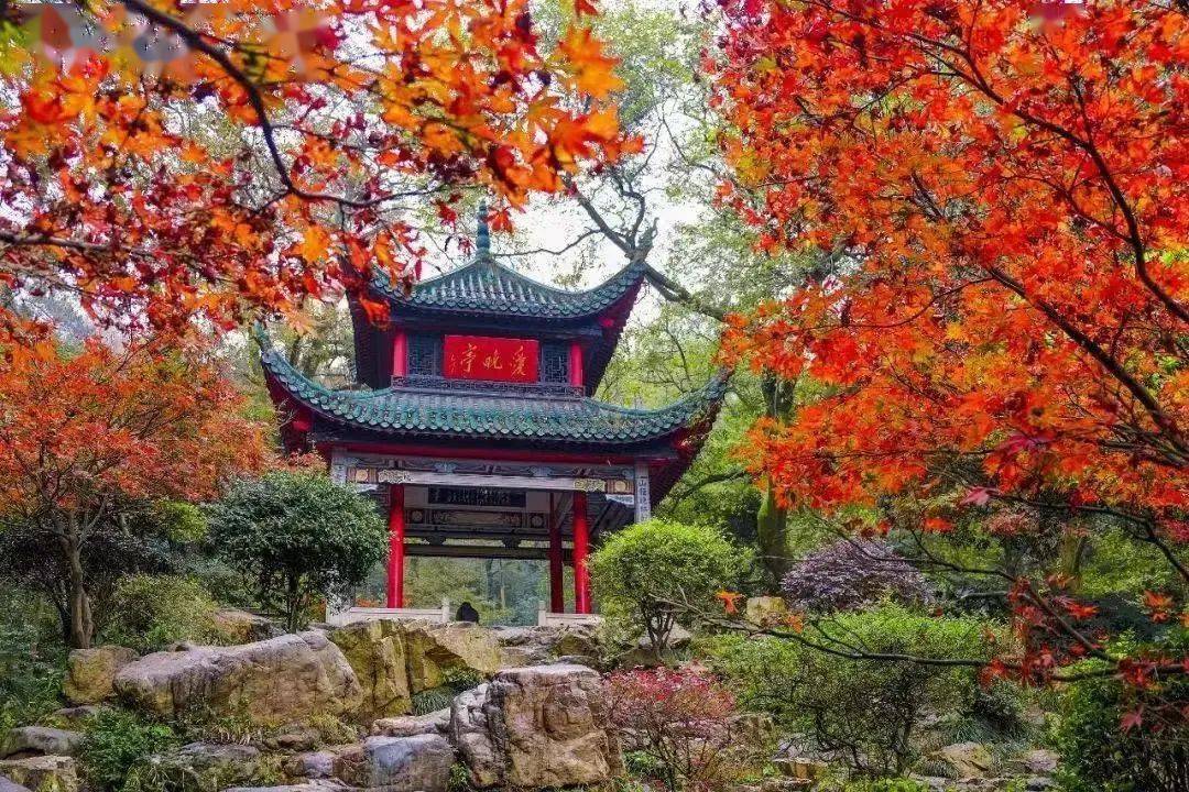 山河远阔,人间烟火,星城长沙欢迎你!_中国外交部_烈士公园_湖南省