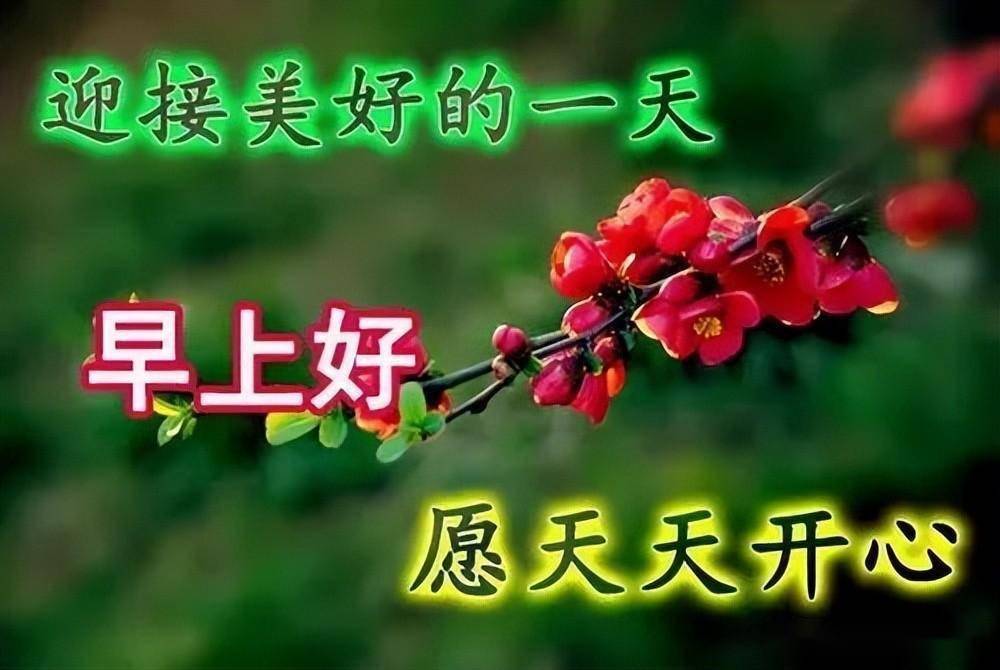 早上好表情包,一帆风顺,愿你事事顺心,一切都美好_朋友_一个人_人生