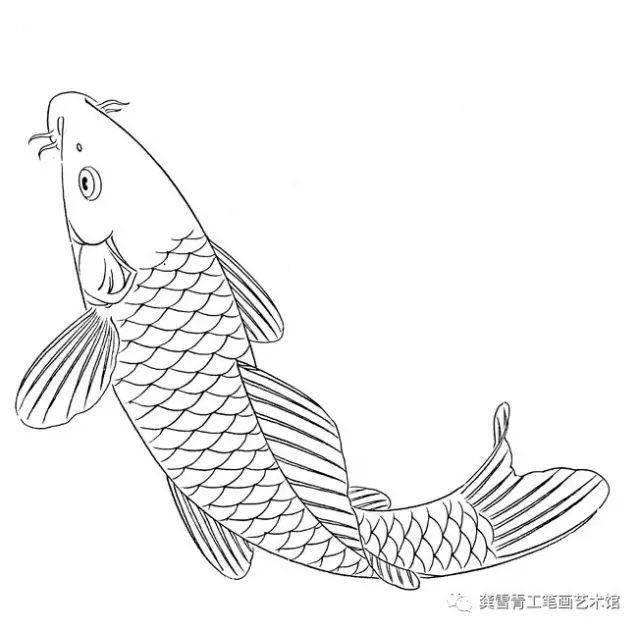 龚雪青工笔《鲤鱼百态》实用白描_组合_造型_象征