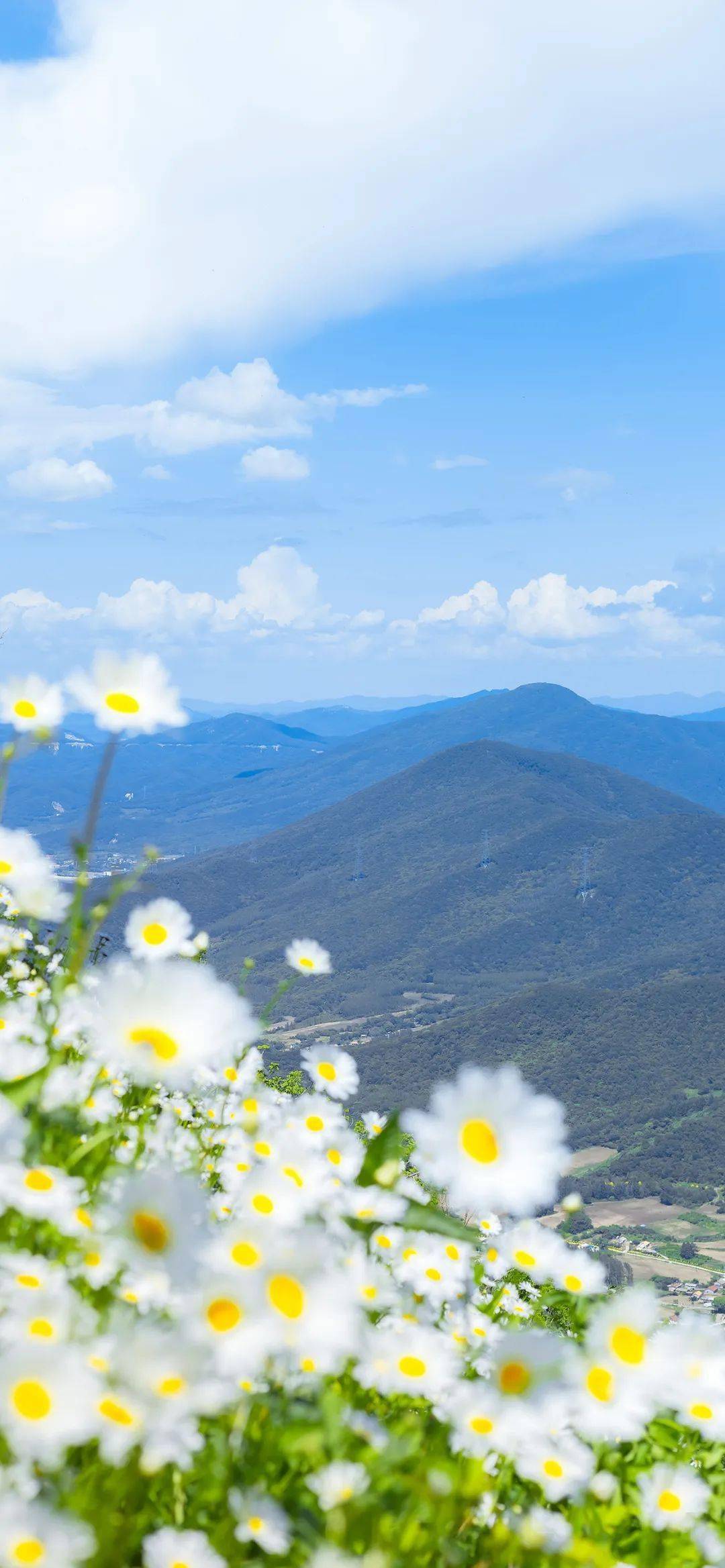 夏日清新壁纸 | 如果快乐太难_头像_微信_整理