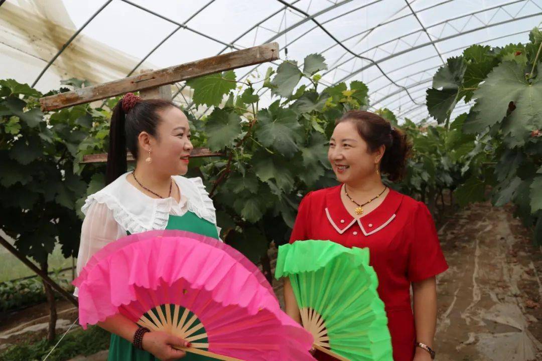 临洮：葡萄园里唱“花儿”探非遗文化促乡村旅游发展新路径