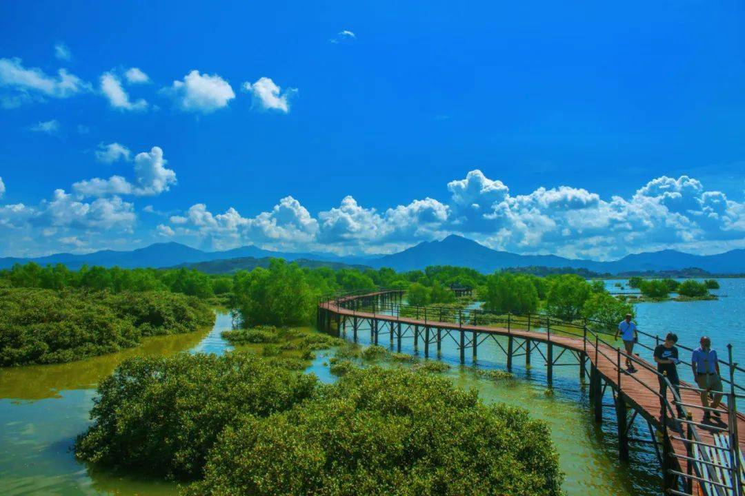 大亞灣_中國_海灣