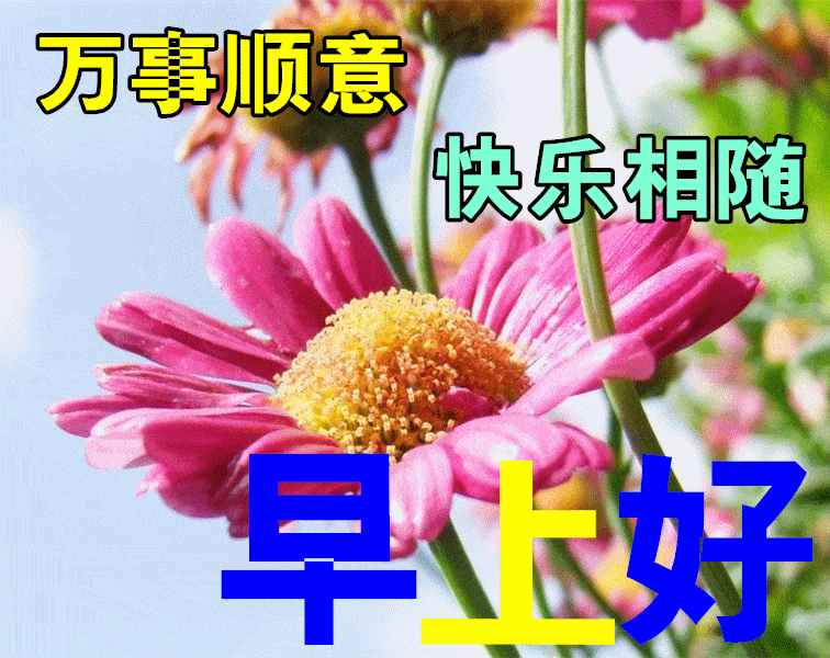 678月17日秋天早上好动态表情图片及早晨好动图美图大全 宁可孤独