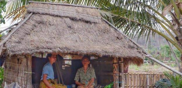 东南亚一原始村落：房子用牛粪浇筑，村中适婚男女多是近亲结婚