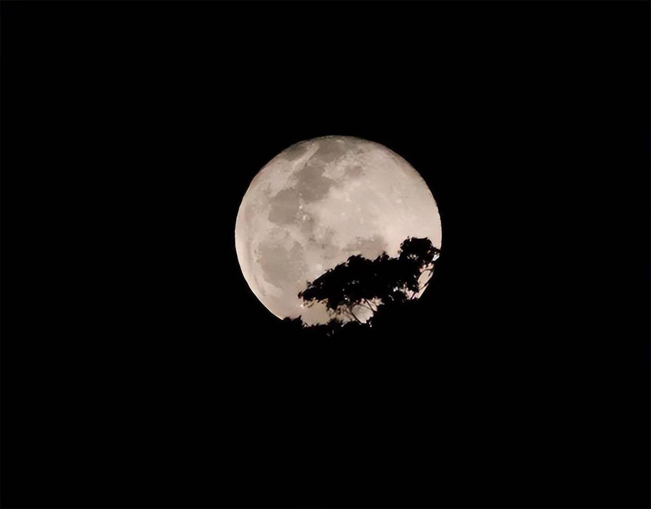 每日好诗|硕大的月亮孤独地悬停中天_中国作家协会_大海_山村