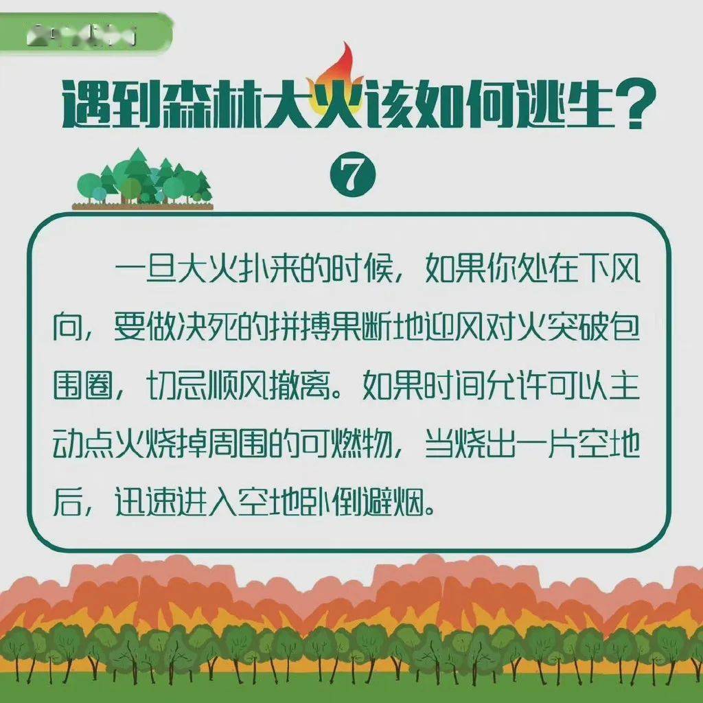 遇到森林火灾怎么办图片