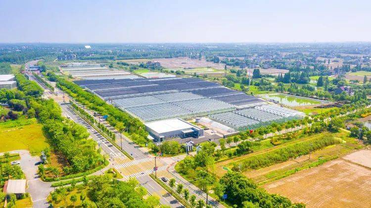 2021年6月,嘉兴佳莓农业科技有限公司投资2亿元在平湖农业经济开发区