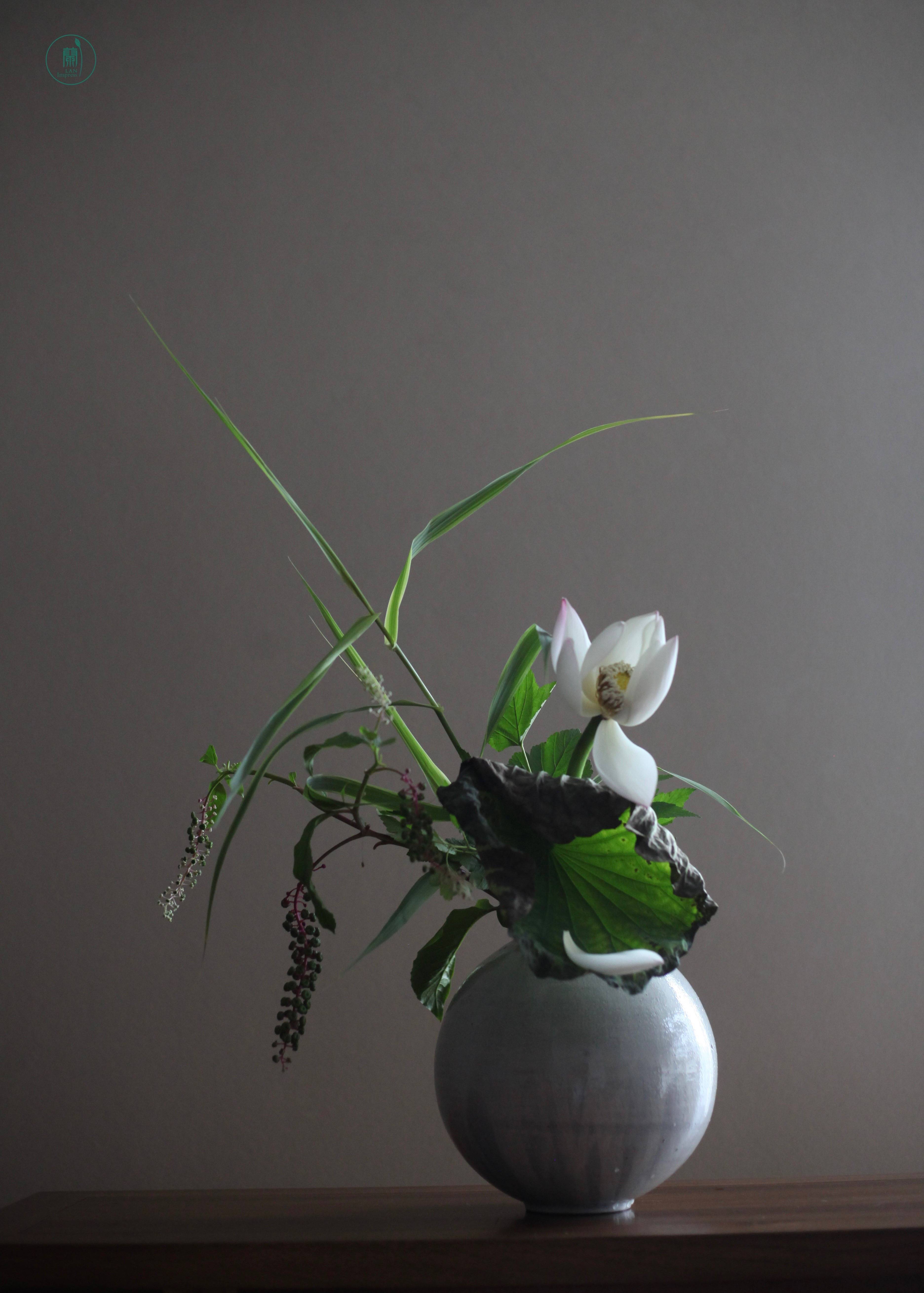 西安插花培训|蘭印象小原流花道教室#花道课