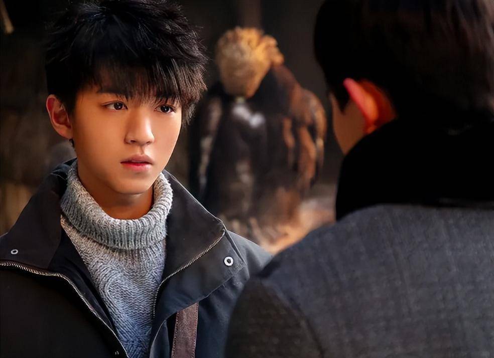 《重生之门》登顶猫眼剧集年榜第一,王俊凯又选对了一部戏_合作_作品