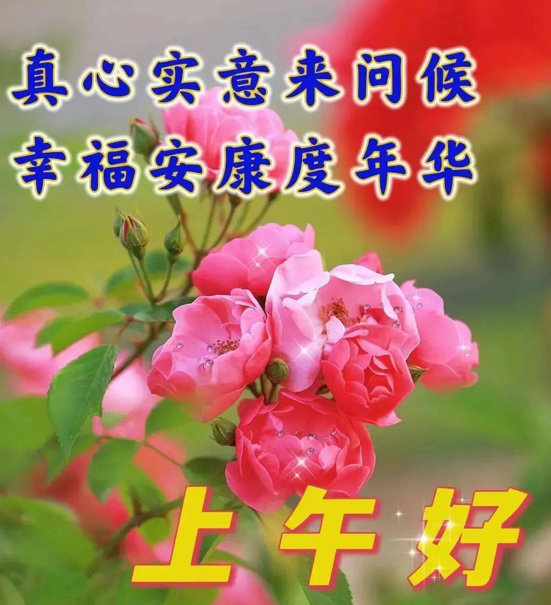 秋天最新特漂亮早上好鲜花动态图片带字带祝福语 秋天最美早安问候