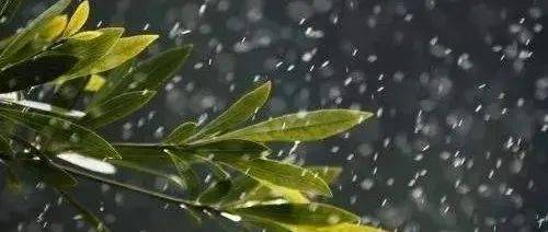 今日雨势减弱,气温有所下降_降水_地区_天气