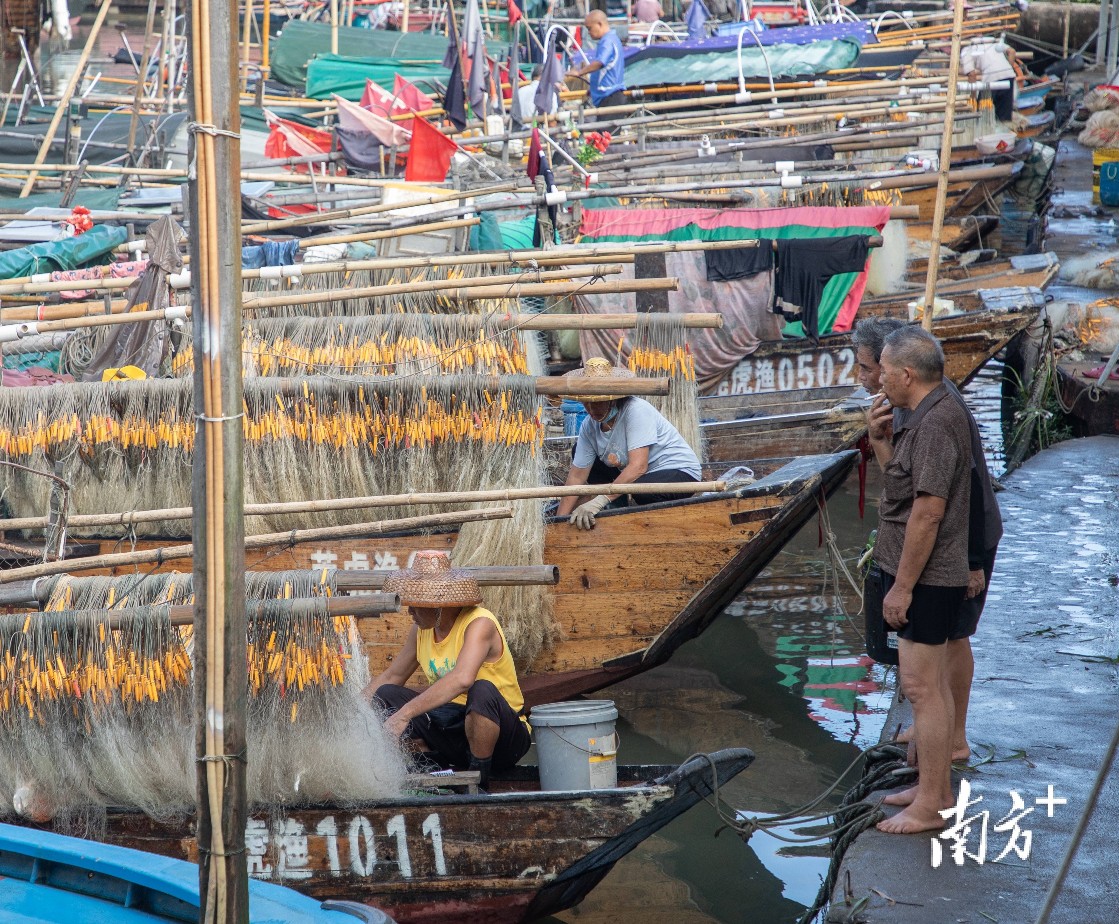 虎门新湾海鲜市场图片